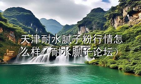 天津耐水膩子粉行情怎么樣（耐水膩子論壇）