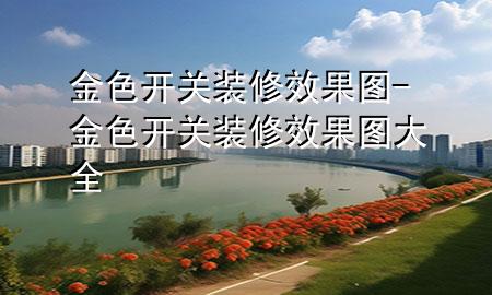 金色開關(guān)裝修效果圖-金色開關(guān)裝修效果圖大全