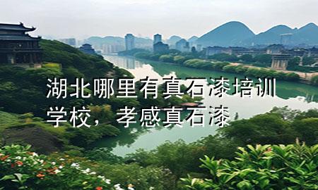 湖北哪里有真石漆培訓(xùn)學(xué)校，孝感真石漆