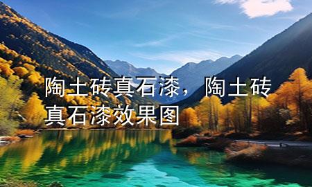 陶土磚真石漆，陶土磚真石漆效果圖