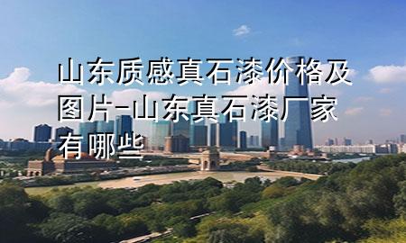 山東質感真石漆價格及圖片-山東真石漆廠家有哪些