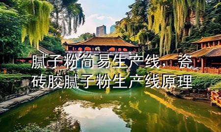 膩?zhàn)臃酆?jiǎn)易生產(chǎn)線，瓷磚膠膩?zhàn)臃凵a(chǎn)線原理