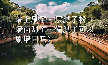 墻上刷了一層膩子粉（墻面刮了一遍膩子可以刷墻固嗎）