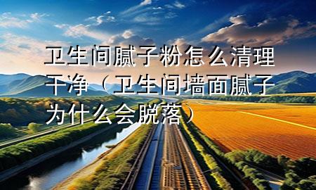 衛(wèi)生間膩子粉怎么清理干凈（衛(wèi)生間墻面膩子為什么會脫落）