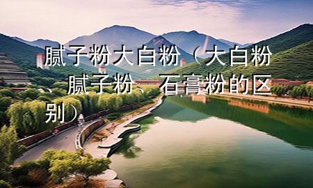 膩?zhàn)臃?大白粉（大白粉、膩?zhàn)臃邸⑹喾鄣膮^(qū)別）