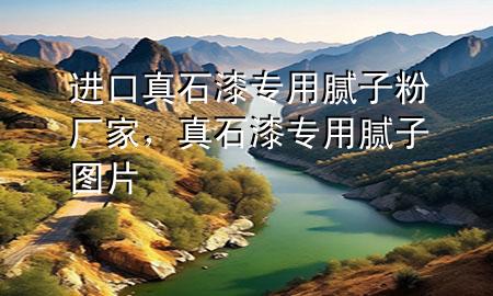 進(jìn)口真石漆專用膩?zhàn)臃蹚S家，真石漆專用膩?zhàn)訄D片