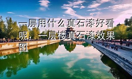 一層用什么真石漆好看呢，一層樓真石漆效果圖