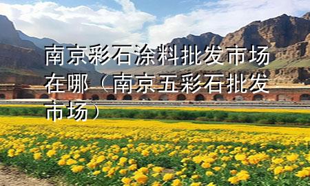 南京彩石涂料批發(fā)市場在哪（南京五彩石批發(fā)市場）