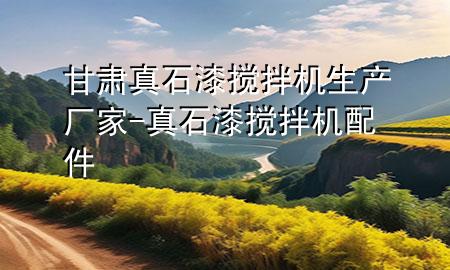 甘肅真石漆攪拌機(jī)生產(chǎn)廠家-真石漆攪拌機(jī)配件