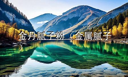 金丹膩子粉（金屬膩子）