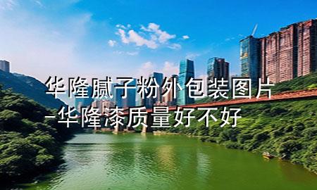 華隆膩子粉外包裝圖片-華隆漆質(zhì)量好不好