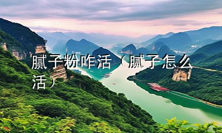 膩子粉咋活（膩子怎么活）