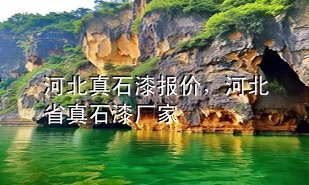河北真石漆報(bào)價(jià)，河北省真石漆廠家