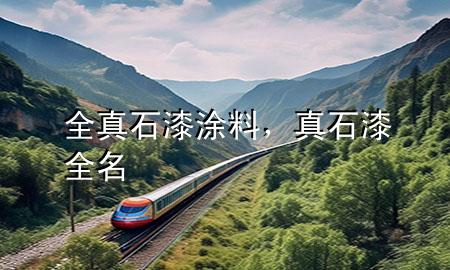 全真石漆涂料，真石漆全名