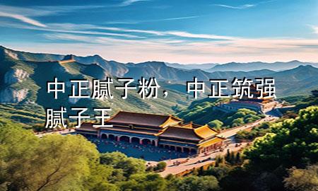 中正 膩子粉，中正筑強膩子王