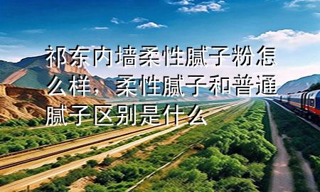 祁東內(nèi)墻柔性膩?zhàn)臃墼趺礃?，柔性膩?zhàn)雍推胀佔(zhàn)訁^(qū)別是什么