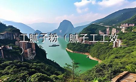 工 膩子粉（膩子工工效）