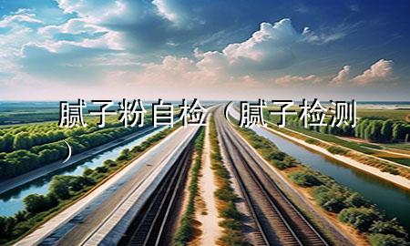 膩子粉自檢（膩子檢測）