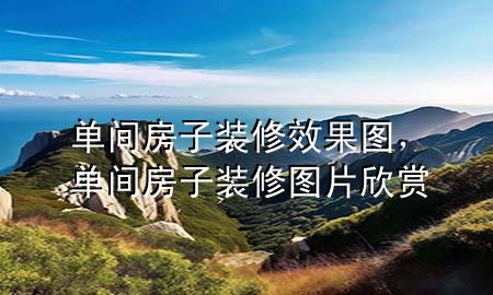 單間房子裝修效果圖，單間房子裝修圖片欣賞
