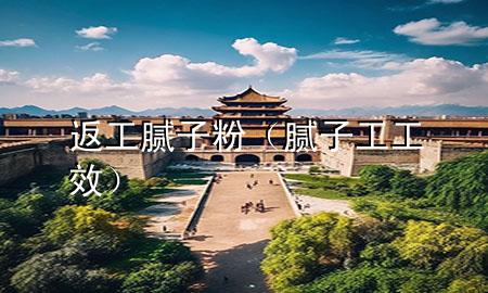 返工膩子粉（膩子工工效）