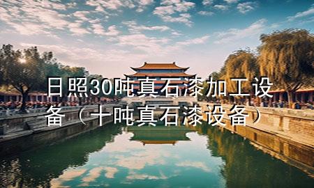 日照30噸真石漆加工設(shè)備（十噸真石漆設(shè)備）