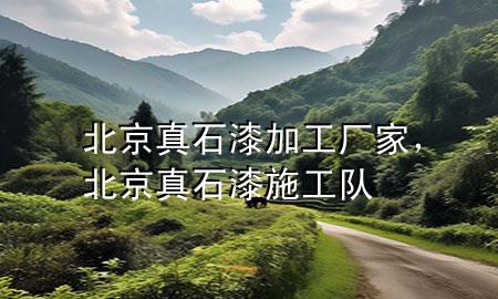 北京真石漆加工廠家，北京真石漆施工隊