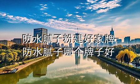 防水膩子粉建好家牌-防水膩子哪個牌子好