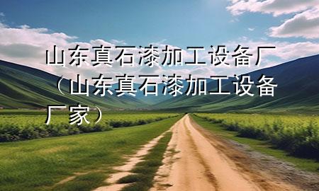 山東真石漆加工設備廠（山東真石漆加工設備廠家）
