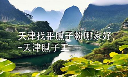 天津找平膩子粉哪家好-天津膩子工