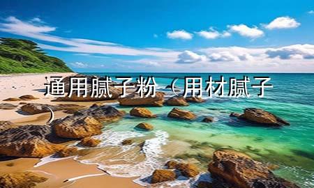 通用膩子粉（用材膩子）