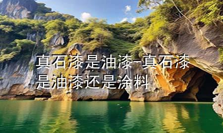 真石漆是油漆-真石漆是油漆還是涂料