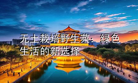 無土栽培野生菜：綠色生活的新選擇