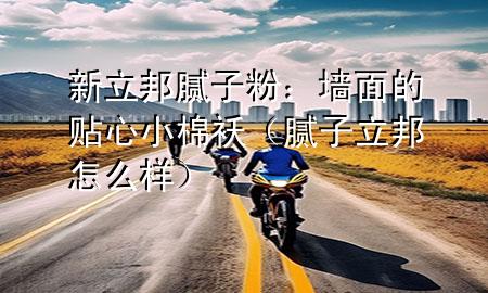 新立邦膩子粉：墻面的貼心小棉襖（膩子立邦怎么樣）