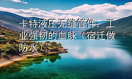 卡特液壓無(wú)縫管件：工業(yè)強(qiáng)韌的血脈（宿遷做防水）