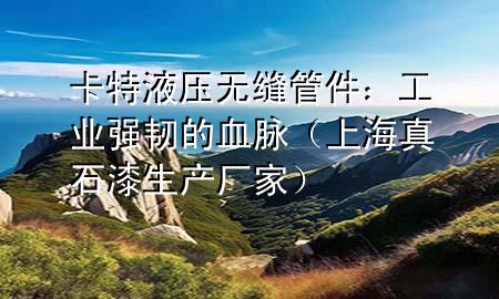卡特液壓無縫管件：工業(yè)強韌的血脈（上海真石漆生產(chǎn)廠家）