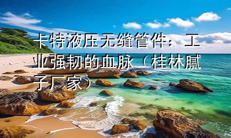 卡特液壓無縫管件：工業(yè)強(qiáng)韌的血脈（桂林膩?zhàn)訌S家）