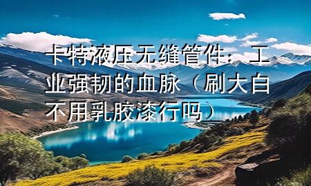 卡特液壓無縫管件：工業(yè)強韌的血脈（刷大白不用乳膠漆行嗎）