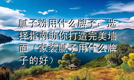 膩子粉用什么牌子：選擇指南助你打造完美墻面（家裝膩子用什么牌子的好）