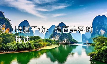 牌膩子粉：墻面美容的秘訣