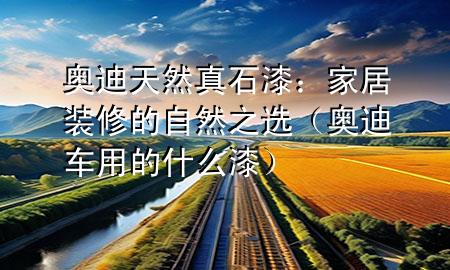 奧迪天然真石漆：家居裝修的自然之選（奧迪車用的什么漆）