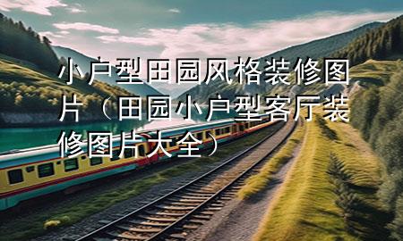 小戶型田園風(fēng)格裝修圖片（田園小戶型客廳裝修圖片大全）