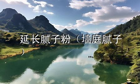 延長膩子粉（墻庭膩子）