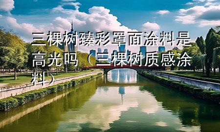 三棵樹臻彩罩面涂料是高光嗎（三棵樹質(zhì)感涂料）