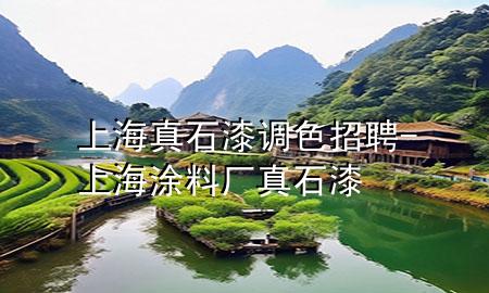 上海真石漆調色招聘-上海涂料廠真石漆