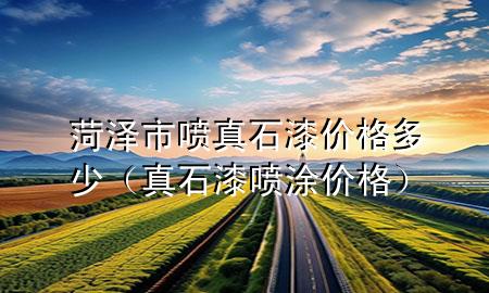 菏澤市噴真石漆價格多少（真石漆噴涂價格）