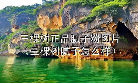 三棵樹正品膩子粉圖片（三棵樹膩子怎么樣）