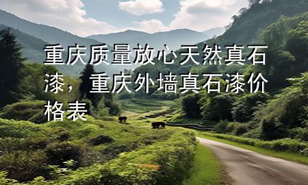 重慶質(zhì)量放心天然真石漆，重慶外墻真石漆價格表
