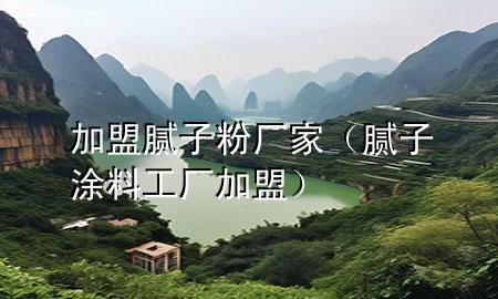 加盟膩子粉廠家（膩子涂料工廠加盟）