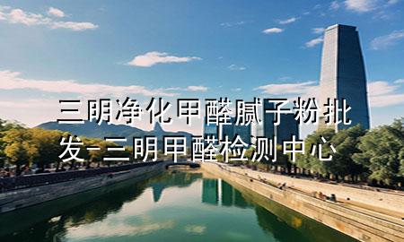 三明凈化甲醛膩子粉批發(fā)-三明甲醛檢測中心