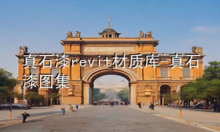 真石漆revit材質(zhì)庫-真石漆圖集